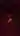 liza111