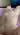 Denn