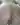 Rusbear69
