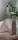 Lexxx483